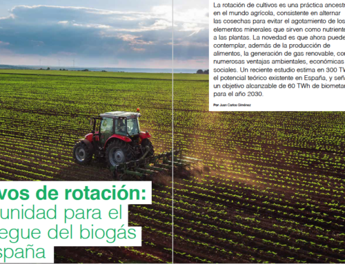 Cultivos de rotación: oportunidad para el  despegue del biogás en España