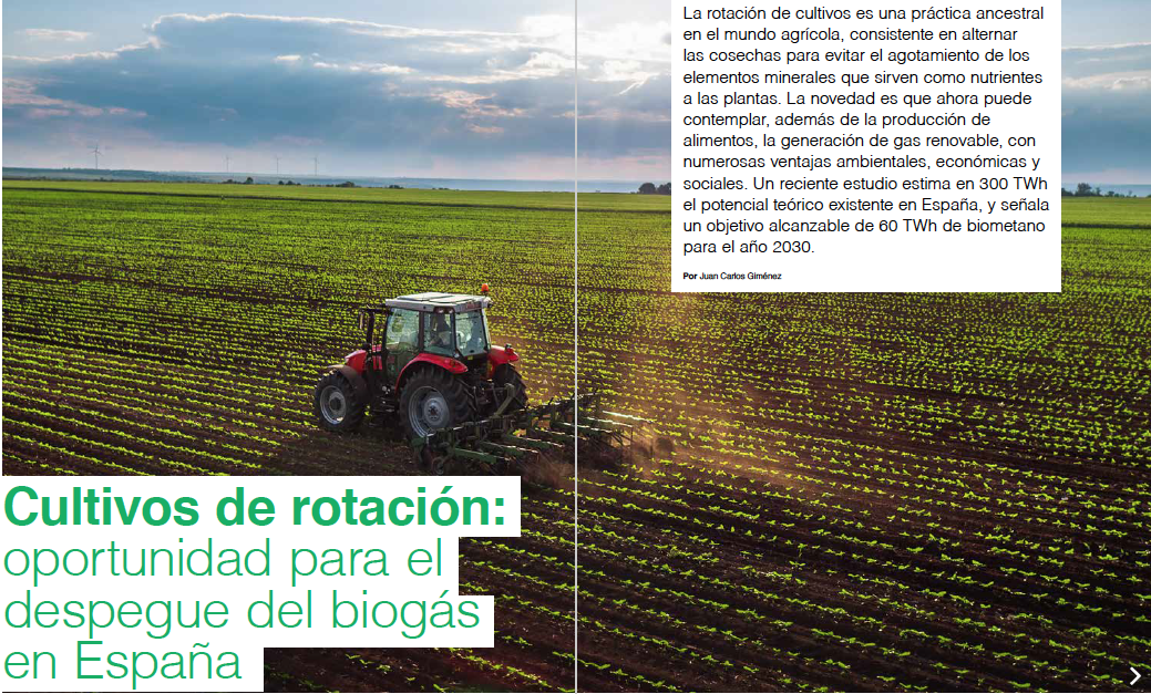 Cultivos de rotación biogás